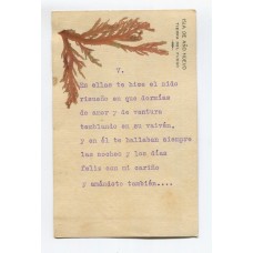 ANTARTIDA ARGENTINA 1902 TARJETA POSTAL ISLA DE AÑO NUEVO TIERRA DEL FUEGO CONFECCIONADA CON ALGAS, HUBO ALLI VARIAS EXPEDICIONES CIENTIFICAS FECHA TENTATIVA